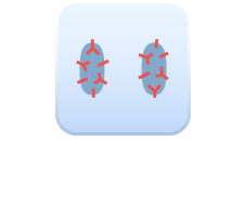 ウイルス性結膜炎 