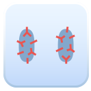 ウイルス性結膜炎